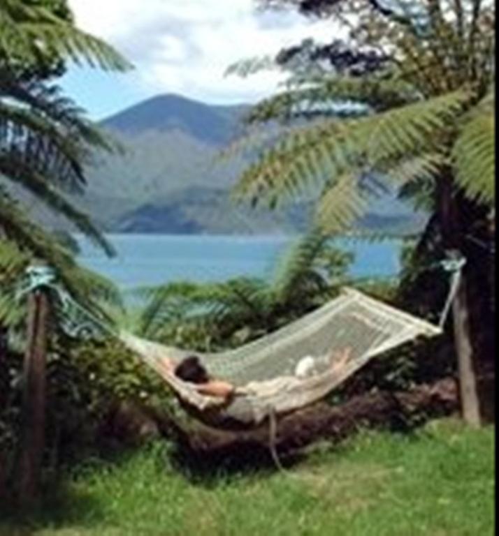 Lochmara Lodge - 20Mins By Boat From Picton Lochmara Bay Exterior foto