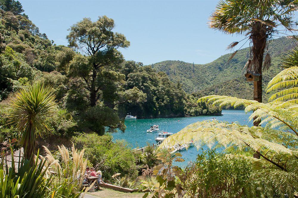 Lochmara Lodge - 20Mins By Boat From Picton Lochmara Bay Exterior foto
