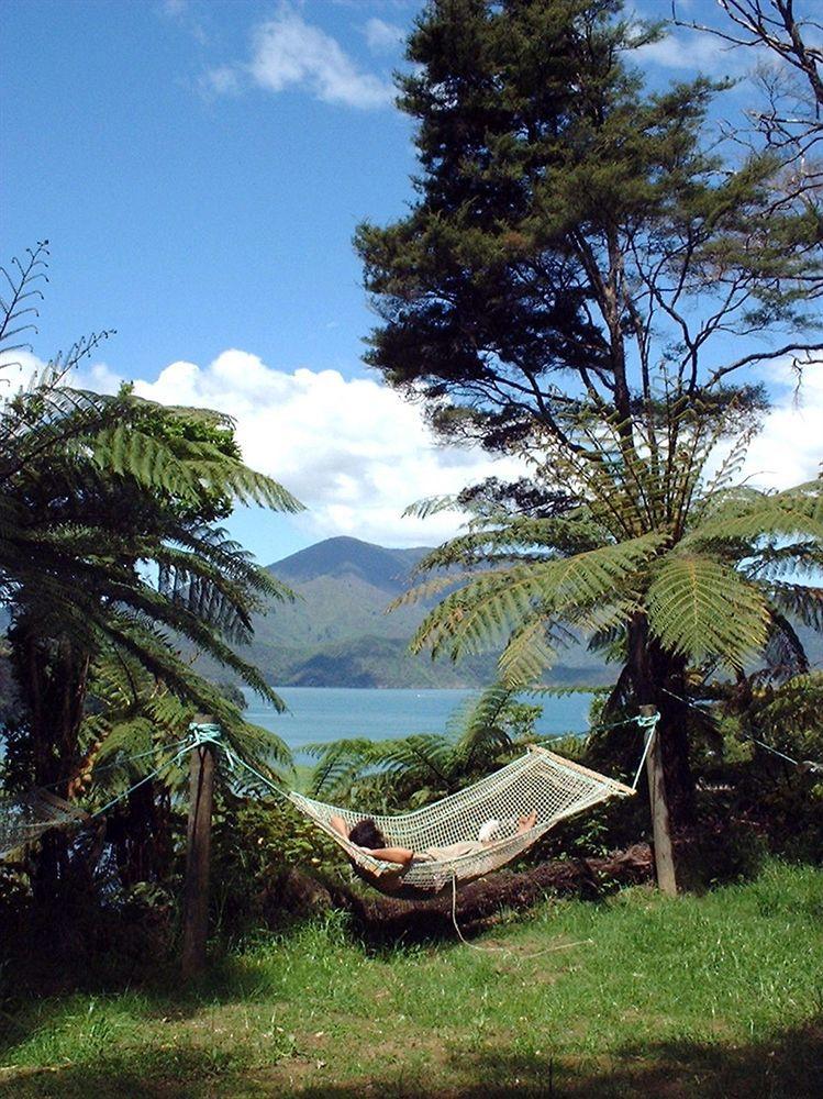 Lochmara Lodge - 20Mins By Boat From Picton Lochmara Bay Exterior foto