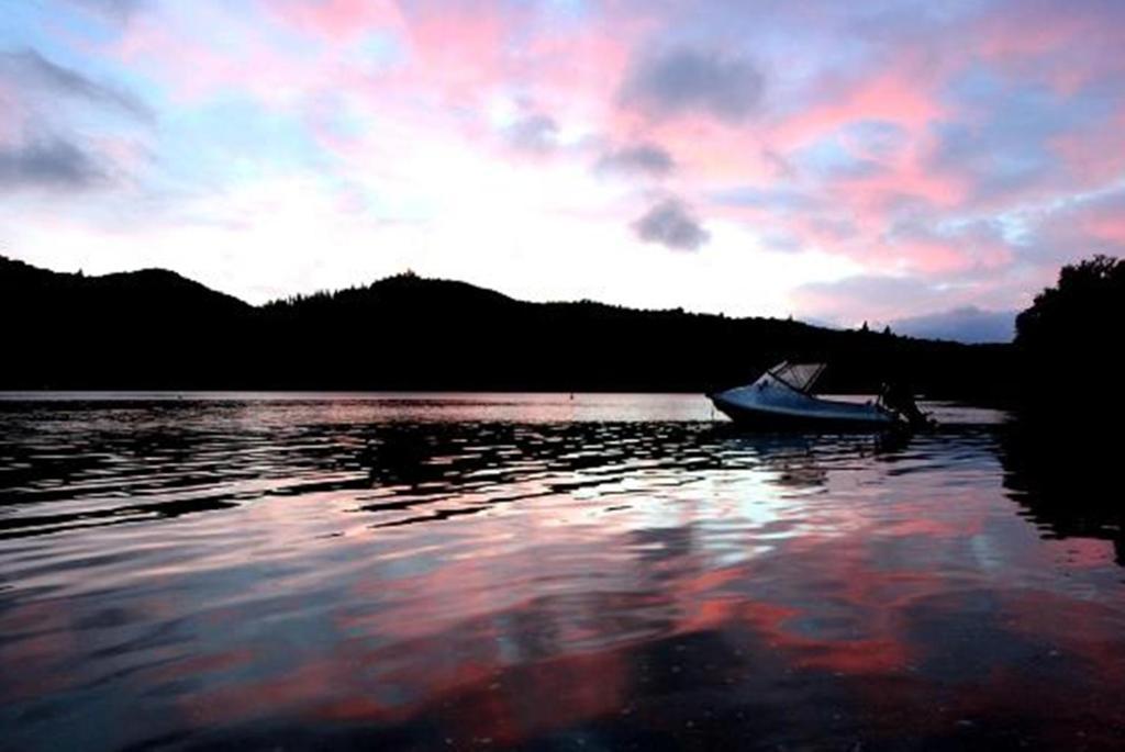 Lochmara Lodge - 20Mins By Boat From Picton Lochmara Bay Exterior foto