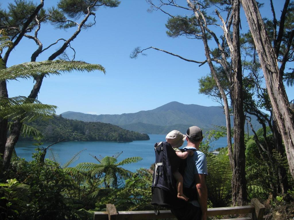 Lochmara Lodge - 20Mins By Boat From Picton Lochmara Bay Exterior foto