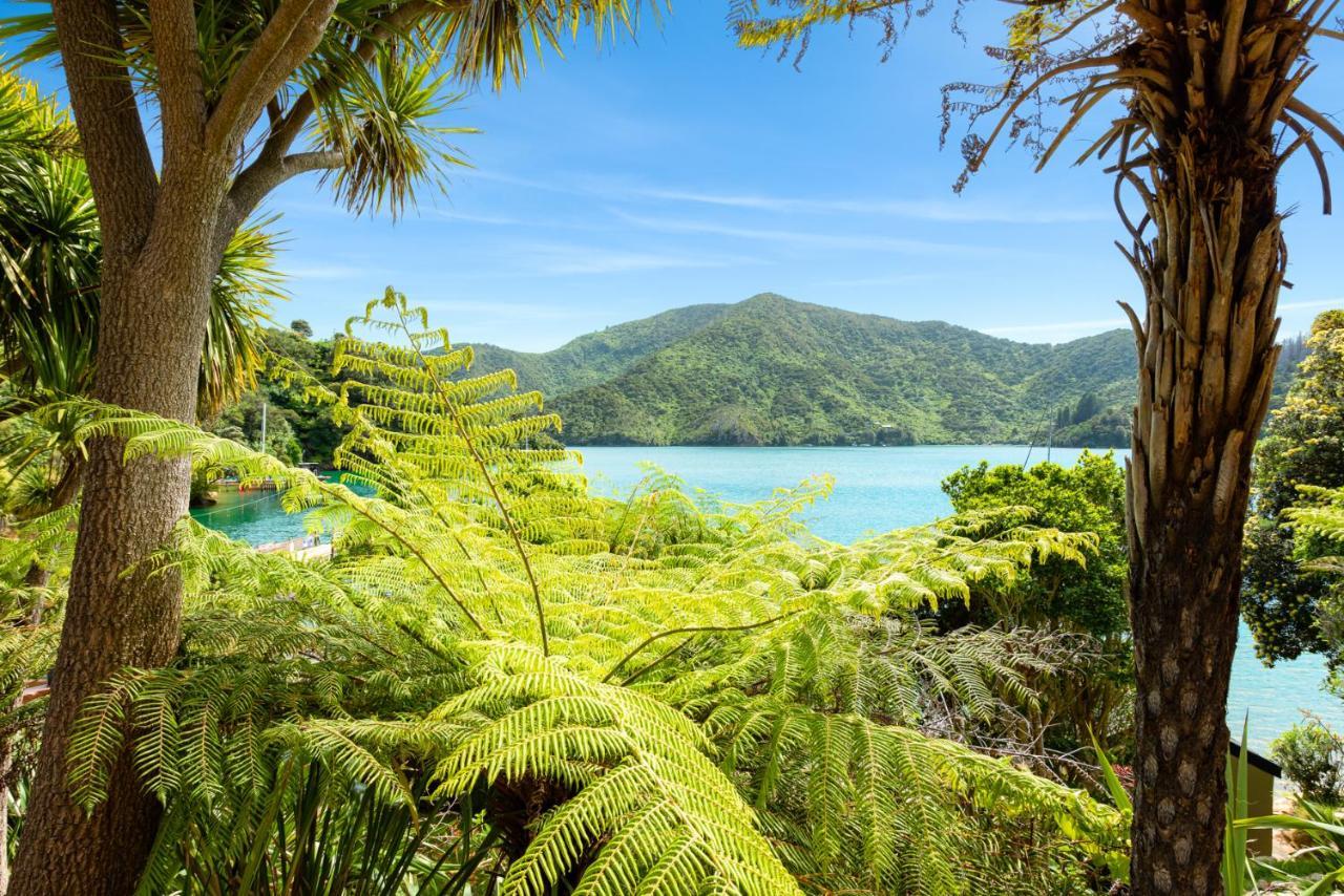 Lochmara Lodge - 20Mins By Boat From Picton Lochmara Bay Exterior foto